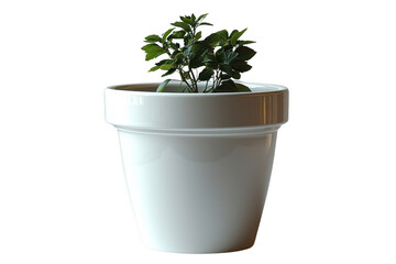 Fototapeta premium White plastic pot isolated on transparent background, png file, no background png file