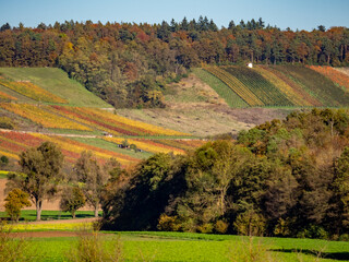 Fototapeta premium Landschaft mit Weinbergen im Herbst
