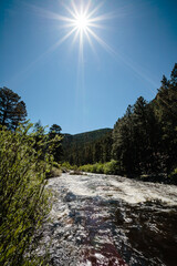 Big Thompson River, early morning sunstar, just outside Rocky Mountain National Park in Colorado