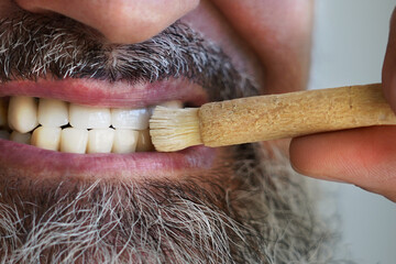 Old islamic traditional natural toothbrush Miswak or Siwak. (Salvadora persica) was used by the Babylonians some 7000 years ago and Greek, Roman empires, and also by ancient Egyptians and Muslims.
