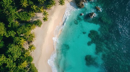 Aerial View of Tropical Island Paradise with Turquoise Waters