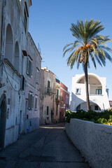 Fototapeta premium beautiful Procida island with colorful houses in sunny summer day, Italy
