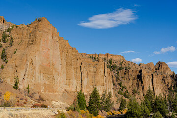 Fototapeta premium Look at the tall cliffs lining Scenic Byway 14-16-20 in Shoshone National Forest near Cody, Wyoming. Blue sky above & pine trees below make a scenic view for tourists.