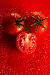 fresh red wet tomatoes on wet background