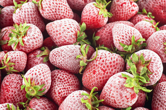Whole frozen strawberries as background. Pile of frozen strawberries.