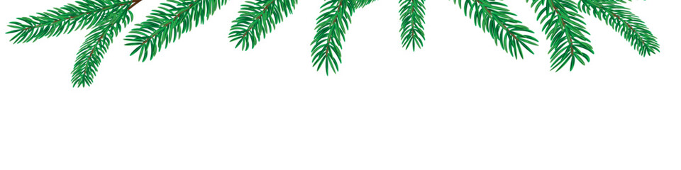 Realistic Christmas tree branches, New Year's decorations of spruce, pine trees with green needles on a transparent background, vector set.