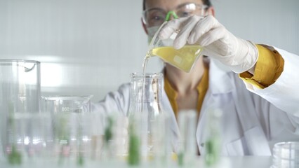 Woman scientist wearing a lab coat, white gloves, and a mask is pouring a yellow oily liquid from a...