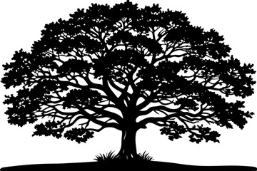 Obraz premium Sprawling Oak Tree Silhouette Against Sunset Sky