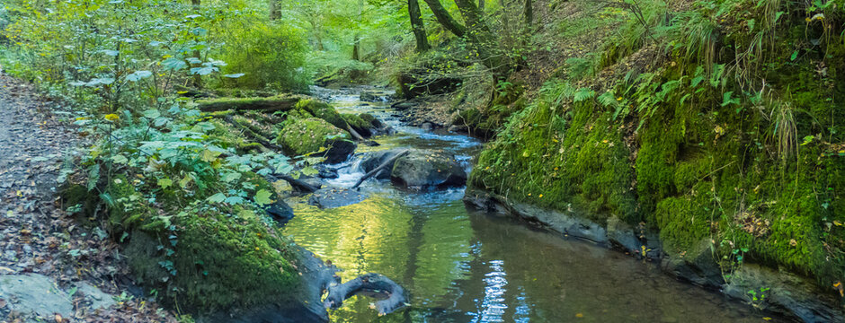 Landschaftidyll Ehrbach Ehrbachklamm