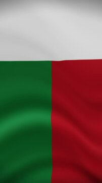 Madagascar Waving Flag in Vertical Orientation. Realistic Flag Animation. Seamless Loop Background.