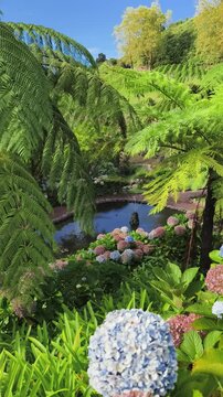 Botanical garden filled with ferns, colorful hydrangeas, and greenery surrounds a peaceful pond. The sunlight highlights the rich vegetation, creating a tranquil 