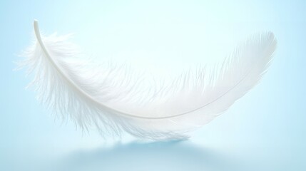 Obraz premium Single white feather against a light blue background.
