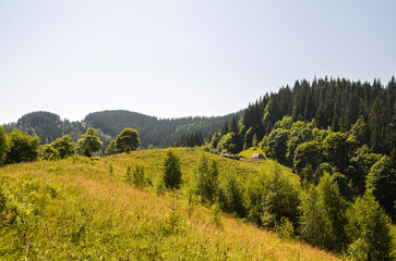 Panoramic landscape featuring grassy hills with scattered trees, leading to multiple layers of...