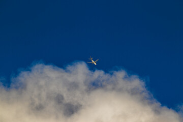 jetliner approaching the top of a cumulus cloud, under a blue sky.