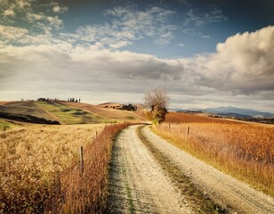 autumn italian rural landscape in retro style panorama of autumn field with dirt road and cloudy sky