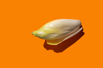 Abstract composition with endive on orange background, top view