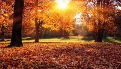 Fototapeta premium beautiful landscape colorful foliage in the park falling leaves natural background