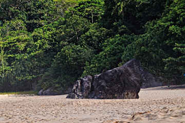 rock known as the frog stone, located on the sand near the vegetation on Cepilho beach.