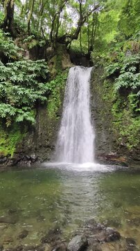 View of Salto do Prego waterfall in the heart of the S&atilde;o Miguel rainforest, Azores. The waterfall is framed by tall trees and dense plant life, creating an atmosphere of seclusion and peace. 