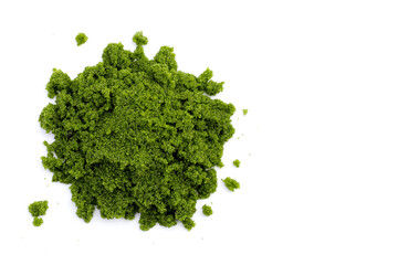 Obraz premium Fresh water alga, water meal or swamp algae