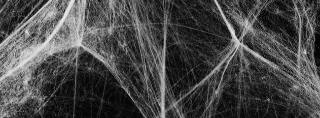 White cobweb on black background, banner design
