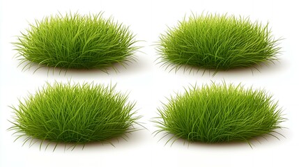 Four lush green grass tufts isolated on a white background.