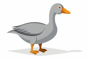 a grey goose with a shadow over white