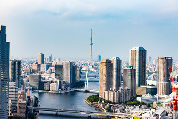 Fototapeta premium city skyline with skyscrapers
