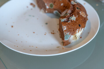 Half of a chocolate cake developed mold on the surface