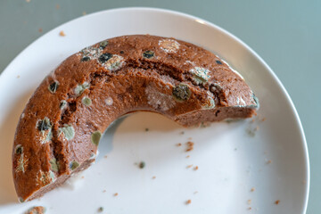 Half of a chocolate cake developed mold on the surface