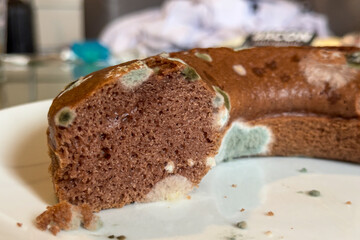 Half of a chocolate cake developed mold on the surface