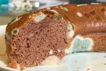 Half of a chocolate cake developed mold on the surface