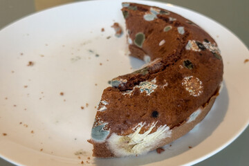 Half of a chocolate cake developed mold on the surface