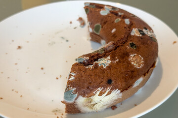 Half of a chocolate cake developed mold on the surface