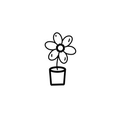 flower in a pot