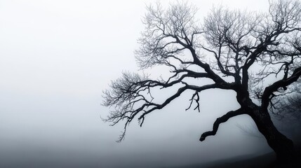 Fototapeta premium Bare tree silhouettes against a cold, grey sky, Minimalist, Monochrome, Atmospheric