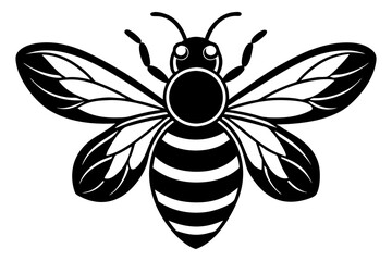 Creative Cute Insect line art vector design with a white background