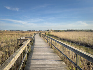 Barrinha of Esmoriz, situated between the municipalities of Espinho and Ovar, Portugal.