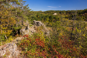 A Scenic Overlook In Autumn