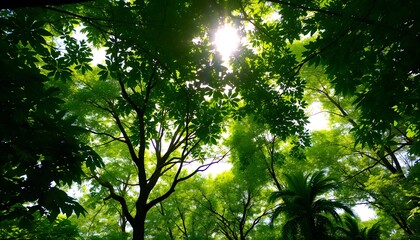 Fototapeta premium Lush green forest canopy with sun rays filtering through leaves created with generative AI