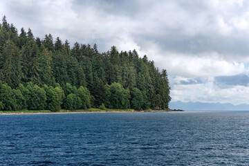 A forest island with green pine trees and a overcast cloudy sky in the Auke Bay near Juneau, Alaska