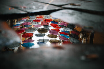 Vivid umbrellas casting their colorful reflections across a puddle's surface.