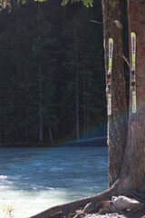 Skis on Trees Riverside