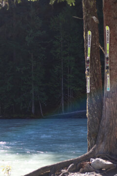 Skis on Trees Riverside