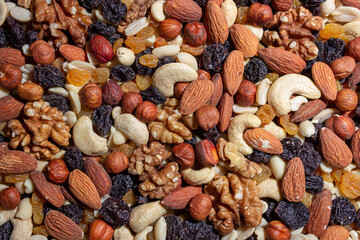 Mixed Nuts: Almonds, Walnuts, Cashews, Peanuts, Hazelnuts, Dried Prunes and Raisins. Different Nut Mix. Background from Various Nuts and Dried Fruits