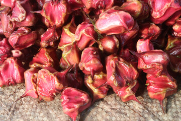 Water Chestnut Trapa natans fruit on shop