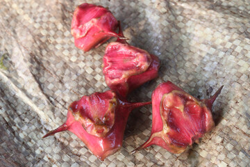 Water Chestnut Trapa natans fruit on shop