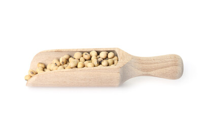 Scoop with soy beans isolated on white