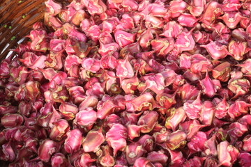 Water Chestnut Trapa natans fruit on shop