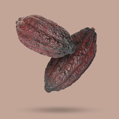 Naklejka premium Cocoa pods in air on dusty pink background